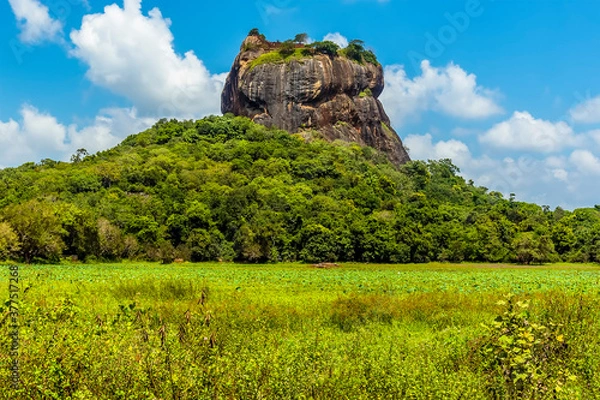 Fototapeta The close-up view of the rock fortress of Sigiriya in Sri Lanka