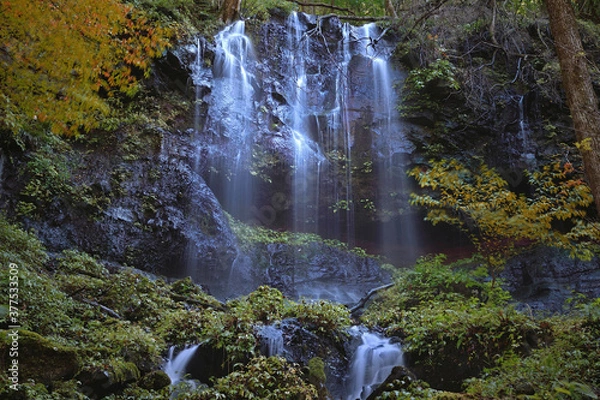 Fototapeta スッカン沢「素簾の滝」