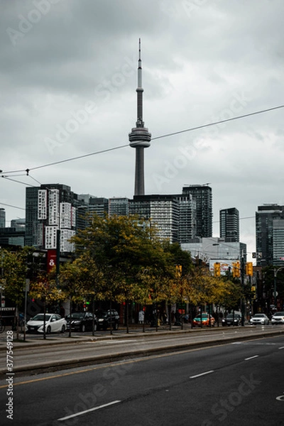Fototapeta These images capture beautifully the urban and modern contrast you can find when in Toronto, Canada. 