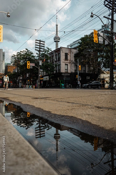 Fototapeta These images capture beautifully the urban and modern contrast you can find when in Toronto, Canada. 