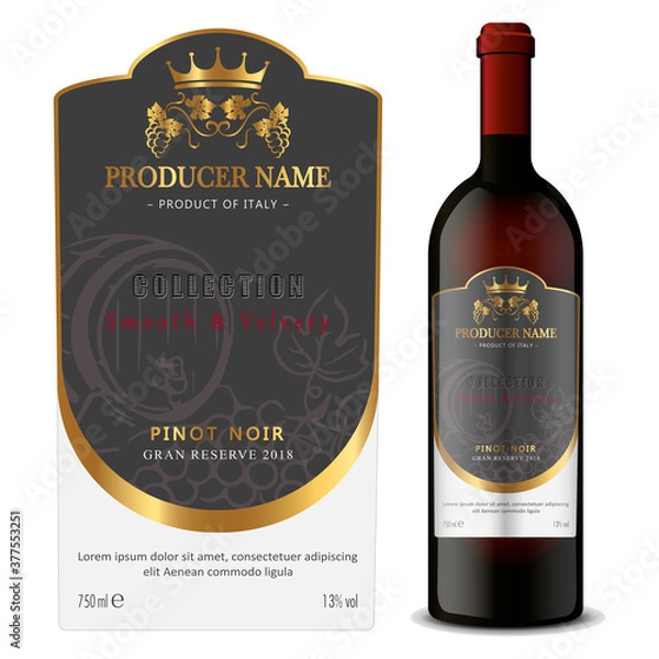 Obraz Premium Quality Red and White Wine Labels Set. Clean and Modern Design with Hand Drawn Grapes Bunch, Leaf and Stylish Minimal Typography.