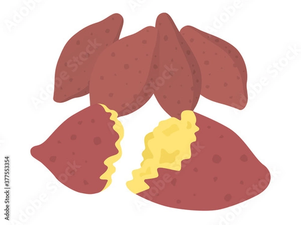 Fototapeta サツマイモのイラスト