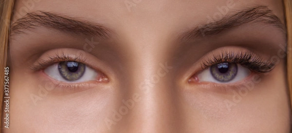 Fototapeta Eyelash Extension Procedure. Woman Eye with Long Eyelashes. Close up, selective focus.