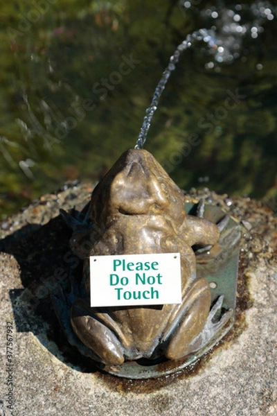 Obraz frog fountain