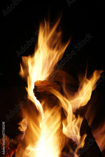 Obraz Campfire flames and logs at night