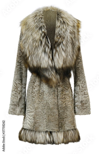 Obraz fur coat