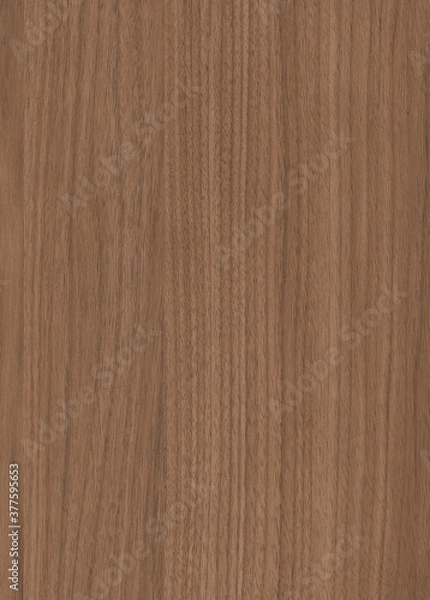 Obraz wood table texture or background