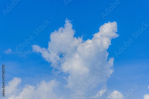 Fototapeta 夏の爽やかな入道雲