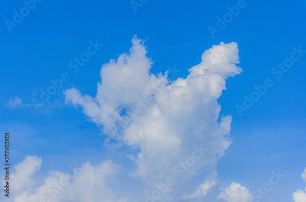 Fototapeta 夏の爽やかな入道雲