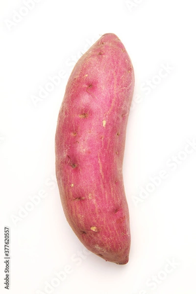 Fototapeta サツマイモ　なると金時　徳島県産　日本