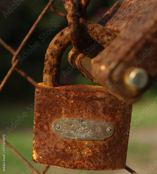 Fototapeta old padlock