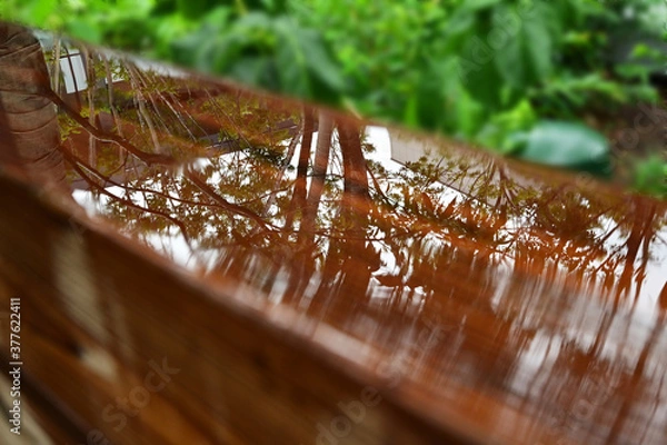 Obraz 雨に濡れた木製の手すりの水に映る樹木のシルエット