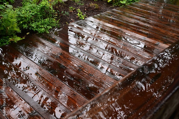 Obraz 雨に濡れた木製の手すりと木の床の水に映る樹木のシルエット
