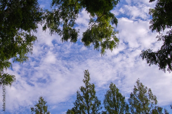 Fototapeta 日本の岐阜県の公園