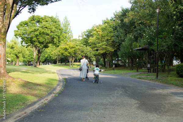 Fototapeta 公園を自転車とベビーカーで散歩する日本人の親子