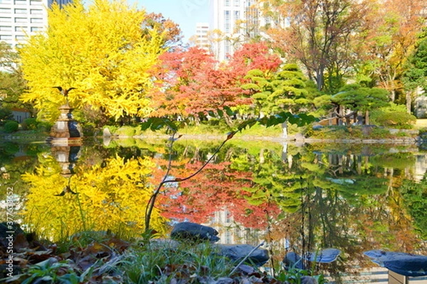 Fototapeta 紅葉の日比谷公園