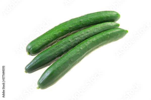 Obraz キュウリ 