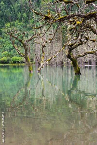 Obraz western sichuan