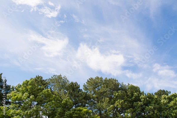 Fototapeta 青空と雲