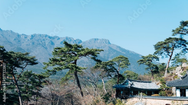 Obraz view from the mountain