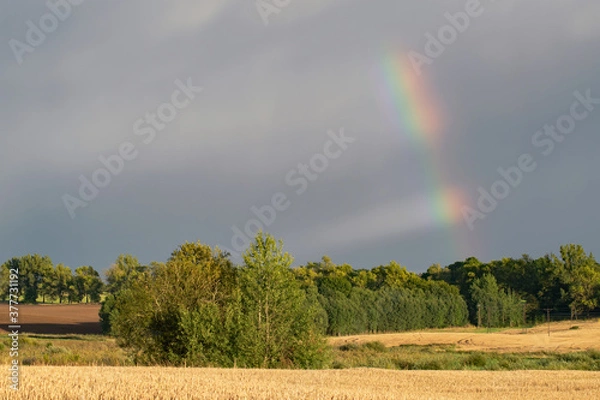 Obraz Tęcza