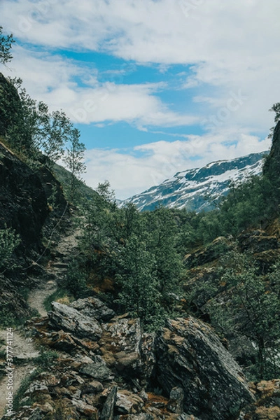 Fototapeta Mountain landscape