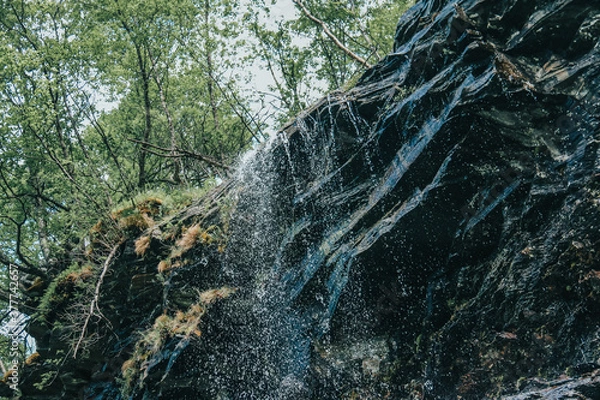 Fototapeta waterfall in the forest