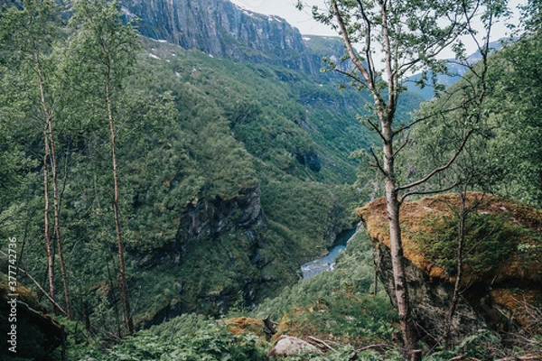 Fototapeta norwegian mountains