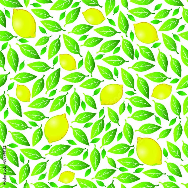 Fototapeta Seamless pattern: lemon and lemon tree leaves