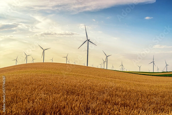 Obraz Renewable energy with wind farm turbines and generators in the sunset, beautiful landscape 