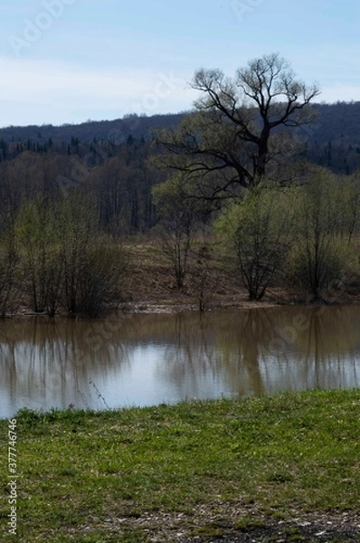 Fototapeta The lake 2