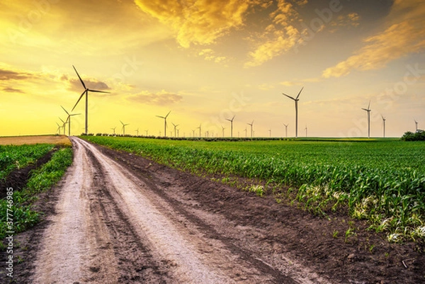 Fototapeta Renewable energy with wind farm turbines and generators in the sunset, beautiful landscape 