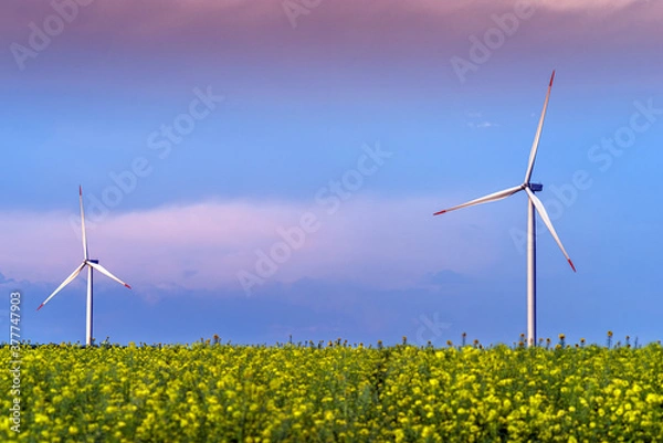 Obraz Renewable energy with wind farm turbines and generators in the sunset, beautiful landscape 