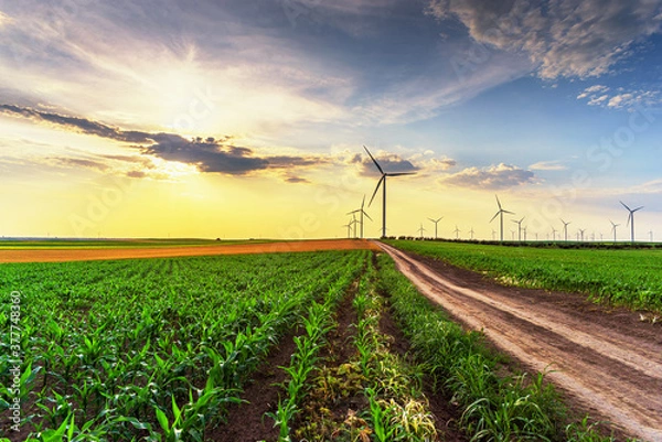 Obraz Renewable energy with wind farm turbines and generators in the sunset, beautiful landscape 