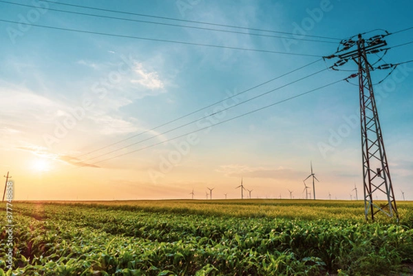 Obraz Renewable energy with wind farm turbines and generators in the sunset, beautiful landscape 