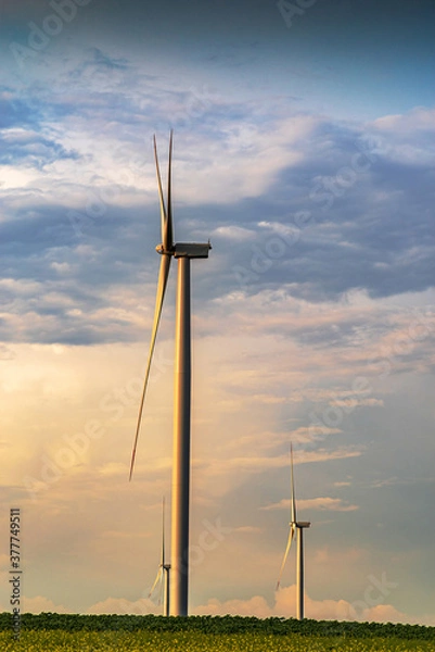 Obraz Renewable energy with wind farm turbines and generators in the sunset, beautiful landscape 