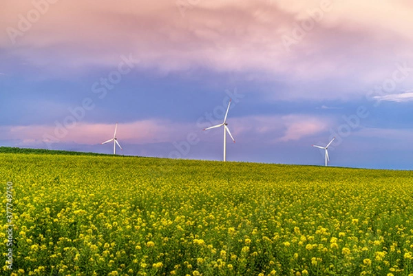 Obraz Renewable energy with wind farm turbines and generators in the sunset, beautiful landscape 