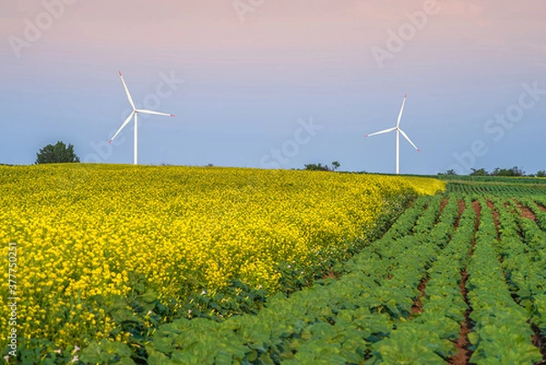 Obraz Renewable energy with wind farm turbines and generators in the sunset, beautiful landscape 