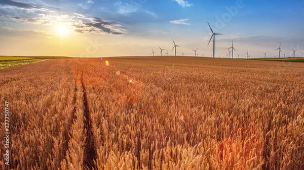 Obraz Renewable energy with wind farm turbines and generators in the sunset, beautiful landscape 