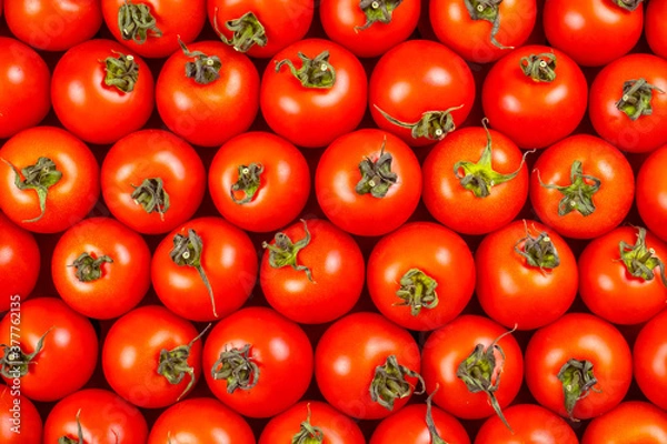 Fototapeta Top view of fresh red tomatoes. Tomatoes background