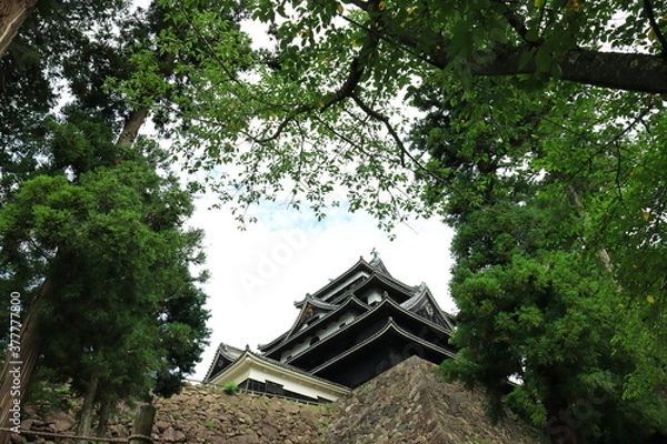 Fototapeta 松江城　松江市　島根