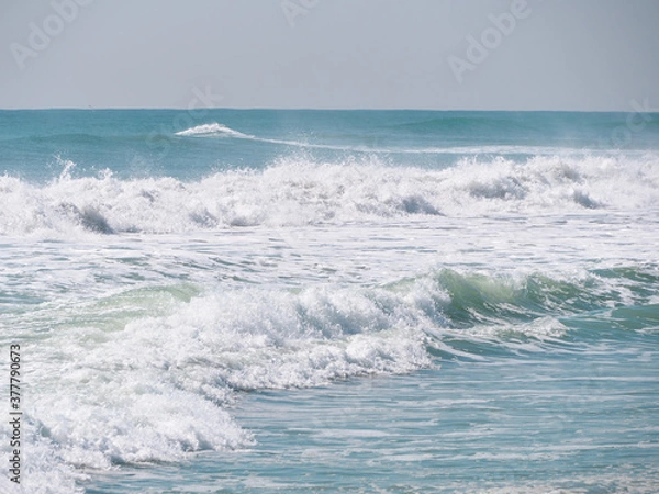 Fototapeta 波　 太平洋　渥美半島　 愛知県田原市　日本　 