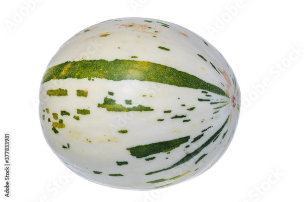 Obraz Fresh, juicy melon isolated on a white background