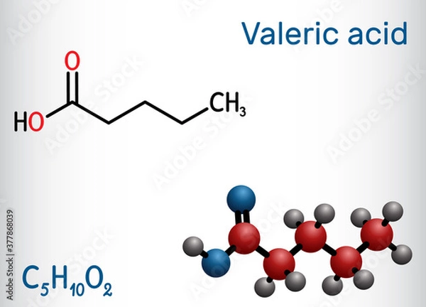 Fototapeta Valeric acid, pentanoic acid or valerate molecule. Structural chemical formula and molecule model