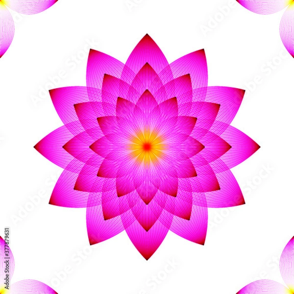 Fototapeta Lotus flower pink white background geometric pattern, vector