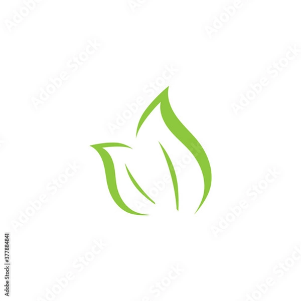 Obraz Leaf Mint Logo Template vector symbol