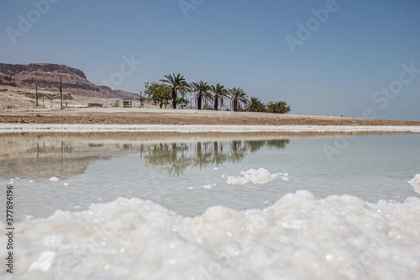 Obraz The Dead sea