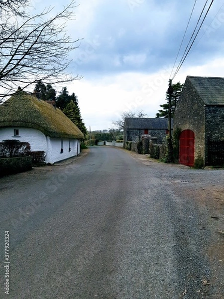 Obraz Irish Thatched Cottage