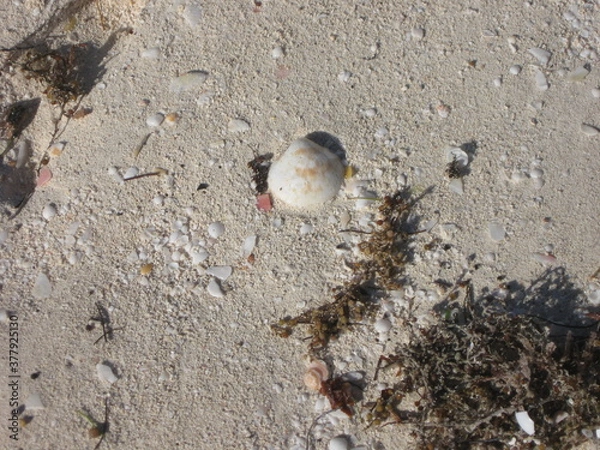 Obraz Mexiko - Cancun