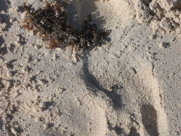 Obraz Mexiko - Cancun